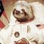 Cosmonaut Sloth