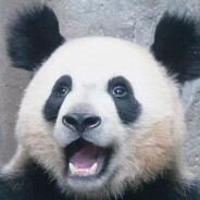 带你去看长颈鹿