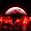 BloodMoon