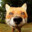 Legosi