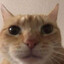 PetePetskEz's avatar