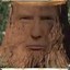 Donald Stump