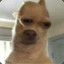 sospooked