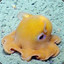 grimpoteuthis11