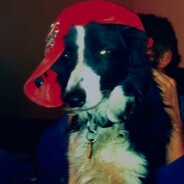 Slátra avatar