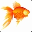 Goldfish3171