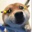T3T