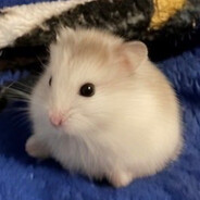 nomu