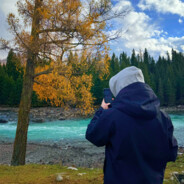 枯木也终会逢春