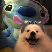 酸菜牛肉面🥦（🍞）