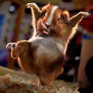 ХоМа_БеЗ_БоШкИ_124