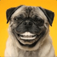 bage巴哥犬真是太可爱了