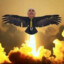 CONDOR Galliani Peek