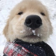 AD带线至今未归