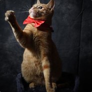 24K纯闷骚--锦哥哥