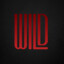 WildMT_23
