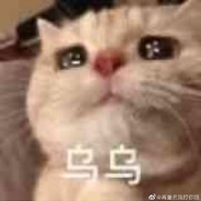 杀你的是喵喵呜呜大神