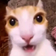 『静庭』›°❥ 坦克