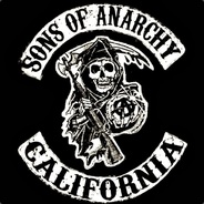 trace - steam id 76561197971086587