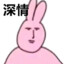 来点中华鲟