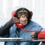 sales monkey