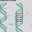 Deoxyribose Nucleic Acid