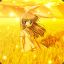 (TW)lwrllve