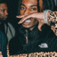 Sir carti666