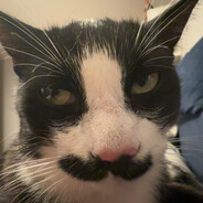 olvske Steam avatar