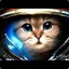 omg.fk_in space cat