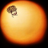 aFroTiTTe - steam id 76561197965759429