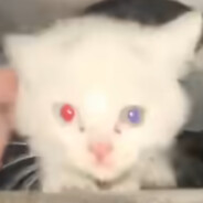 宇智波斑[白面具]