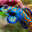 Blue Fish