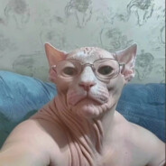 Anal`noVaginal`nyiDaiver2016