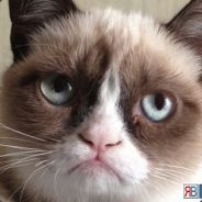 tvoy ebar` - steam id 76561197965807863