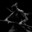 Strider