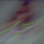 _eco