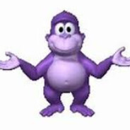 Bonzi