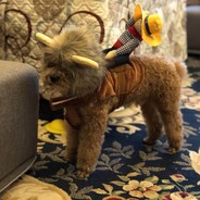 欢欢欢欢欢乐多