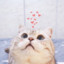 chua he