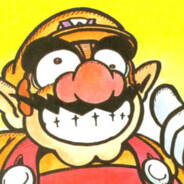 the real wario