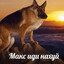 Avatar of player Мусульманго