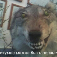 Yappi_Door