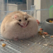 Хомяк придавлены