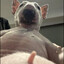 zucker