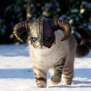 Viking Cat