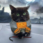 GORDAN CAT