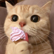 不考上小学不改名