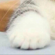 惊呆了！