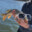 esox